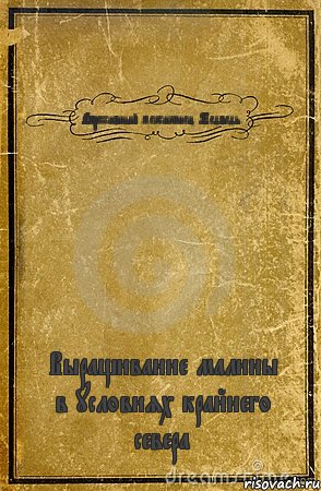 Агрессивный мексиканец Медведь Выращивание малины в условиях крайнего севера, Комикс обложка книги