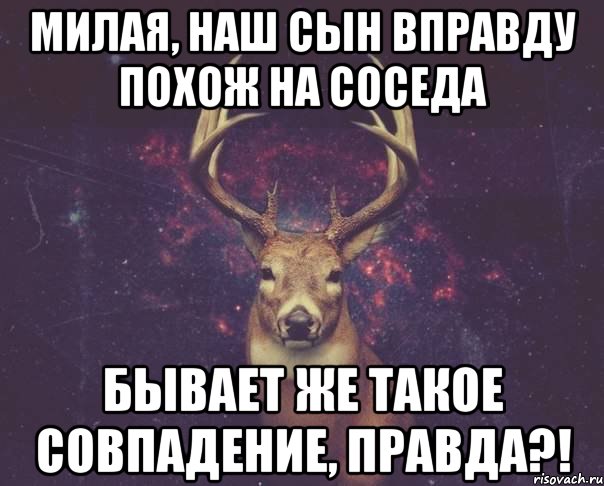 Милая, наш сын вправду похож на соседа Бывает же такое совпадение, правда?!, Мем  олень наивный