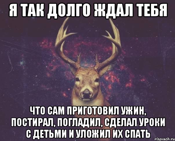 Я так долго ждал тебя Что сам приготовил ужин, постирал, погладил, сделал уроки с детьми и уложил их спать