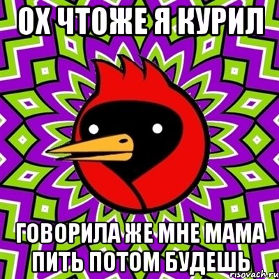 ОХ ЧТОЖЕ Я КУРИЛ говорила же мне мама пить потом будешь, Мем Омская птица