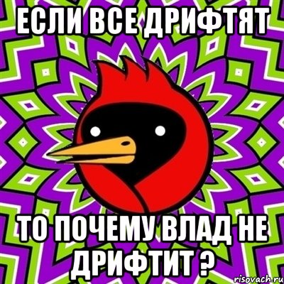 если все дрифтят то почему Влад не дрифтит ?, Мем Омская птица