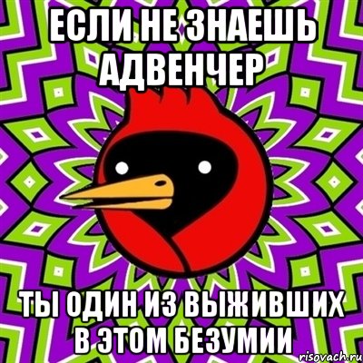 если не знаешь адвенчер ты один из выживших в этом безумии, Мем Омская птица