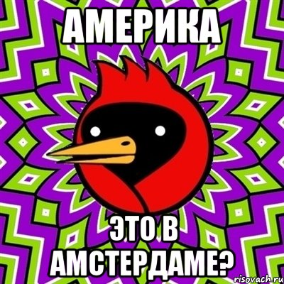 Америка Это в Амстердаме?, Мем Омская птица