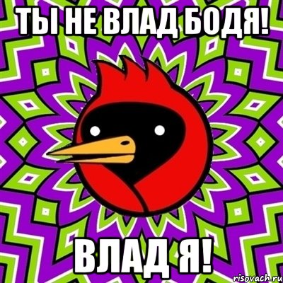 Ты не Влад Бодя! Влад я!, Мем Омская птица