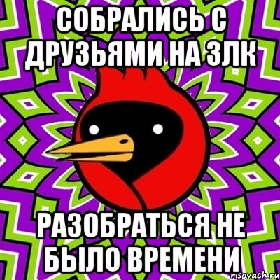 Собрались с друзьями на злк Разобраться не было времени, Мем Омская птица