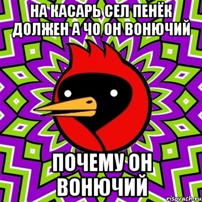 на касарь сел пенёк должен а чо он вонючий почему он вонючий, Мем Омская птица