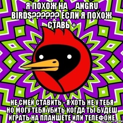 я похож на َAngru birds?????? если я похож ставь + не смей ставить - я хоть не у тебя но могу тебя убить когда ты будеш играть на планшете или телефоне, Мем Омская птица