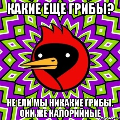 какие еще грибы? не ели мы никакие грибы. Они же калорийные, Мем Омская птица