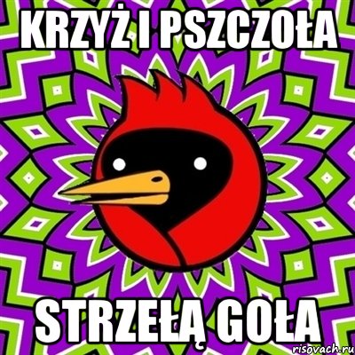 krzyż i pszczoła strzełą goła, Мем Омская птица