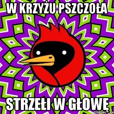 w krzyżu pszczoła strzełi w głowę, Мем Омская птица