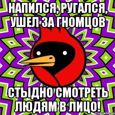 Напился, ругался, ушел за гномцов стыдно смотреть людям в лицо!, Мем Омская птица