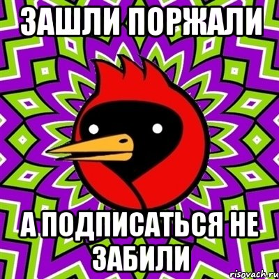 зашли поржали а подписаться не забили, Мем Омская птица