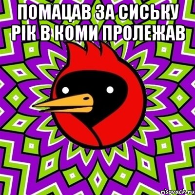 помацав за сиську рік в коми пролежав , Мем Омская птица