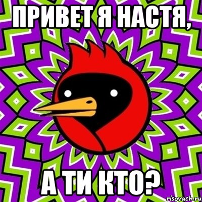 Привет я настя, А ти кто?, Мем Омская птица