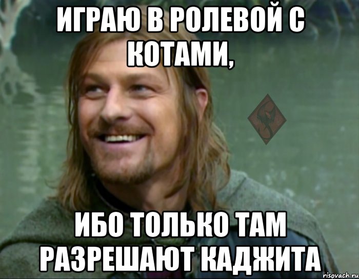 играю в ролевой с котами, ибо только там разрешают каджита, Мем ОР Тролль Боромир