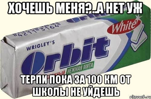 Хочешь меня?..А нет уж терпи пока за 100 км от школы не уйдешь, Мем орбит