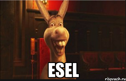  Esel