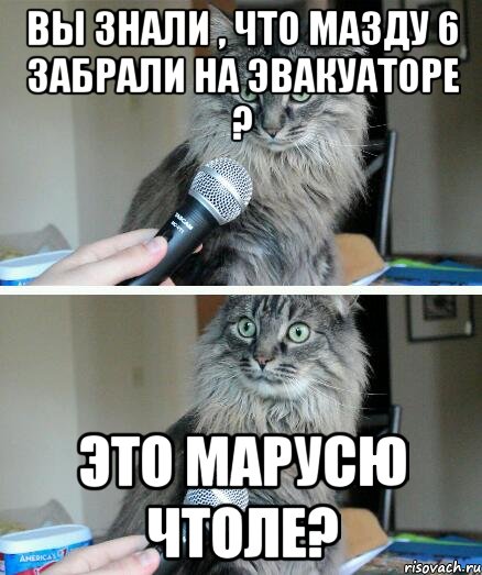 Вы знали , что Мазду 6 забрали на эвакуаторе ? Это Марусю чтоле?, Комикс  кот с микрофоном