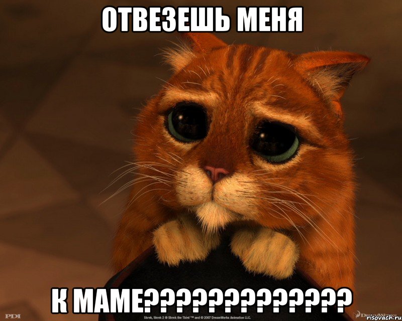 ОТВЕЗЕШЬ МЕНЯ К МАМЕ?????????????, Мем Котик из Шрека