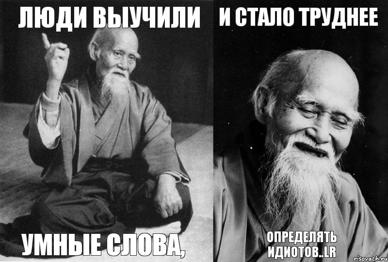 люди выучили умные слова, и стало труднее определять идиотов..LR, Комикс Мудрец-монах (4 зоны)