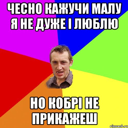 чесно кажучи малу я не дуже і люблю но кобрі не прикажеш, Мем Чоткий паца