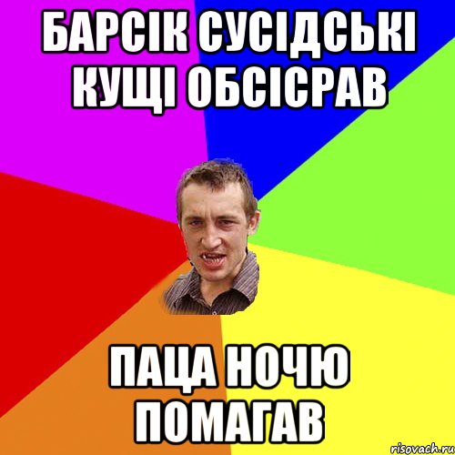 барсік сусідські кущі обсісрав паца ночю помагав, Мем Чоткий паца