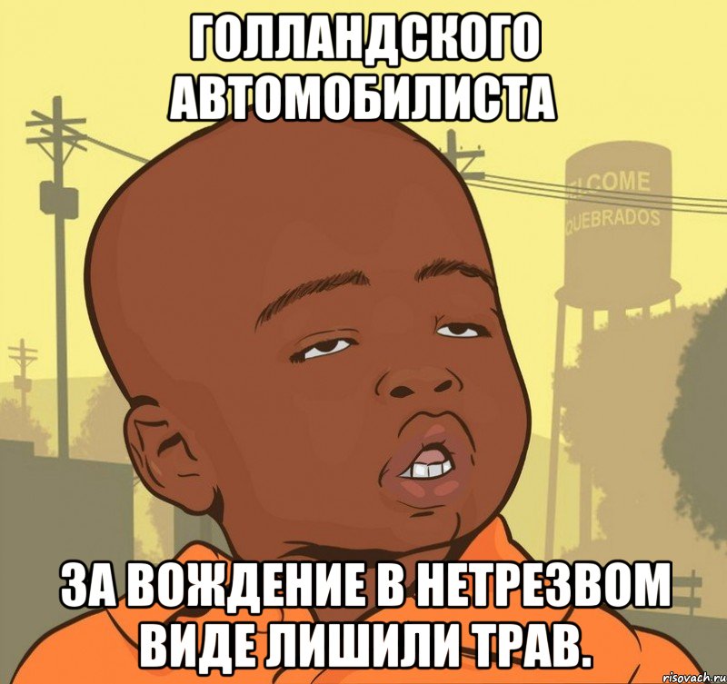 Голландского автомобилиста за вождение в нетрезвом виде лишили ТРАВ., Мем Пацан наркоман