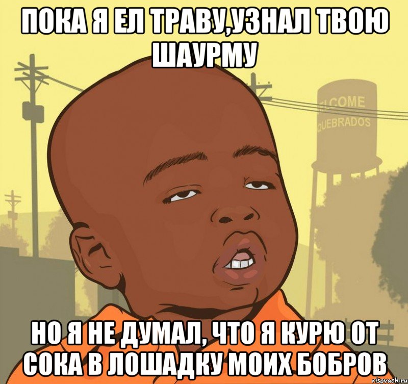 Пока я ел траву,узнал твою шаурму Но я не думал, что я курю от сока в лошадку моих бобров, Мем Пацан наркоман