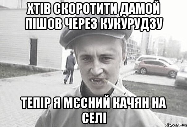 Хтів скоротити дамой пішов через кукурудзу тепір я мєсний качян на селі, Мем Пацанська философия