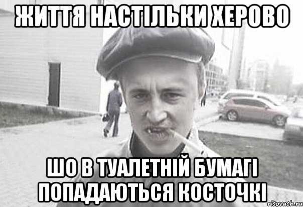 життя настільки херово шо в туалетній бумагі попадаються косточкі, Мем Пацанська философия