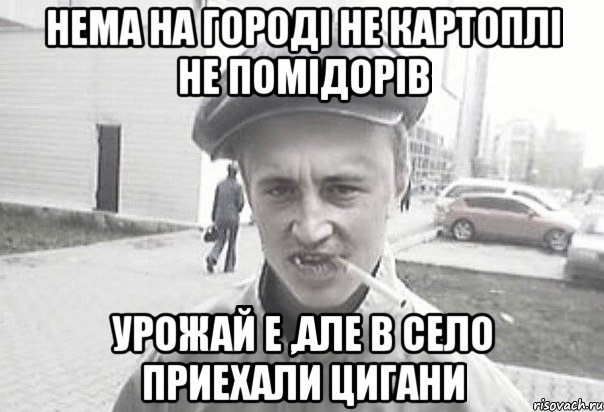 нема на городi не картоплi не помiдорiв урожай е ,але в село приехали цигани, Мем Пацанська философия