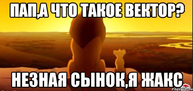 Пап,а что такое вектор? Незная сынок,я Жакс