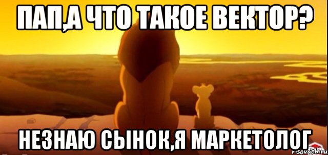 Пап,а что такое вектор? Незнаю сынок,я маркетолог