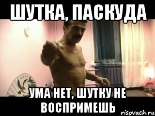 Шутка, Паскуда Ума нет, шутку не воспримешь, Мем Паскуда тварь