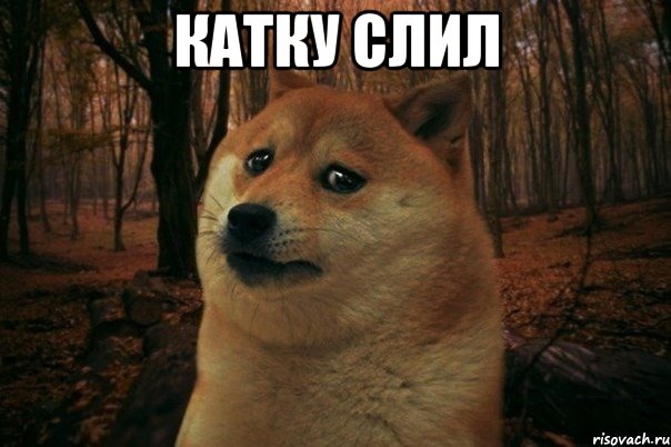 Катку слил , Мем SAD DOGE