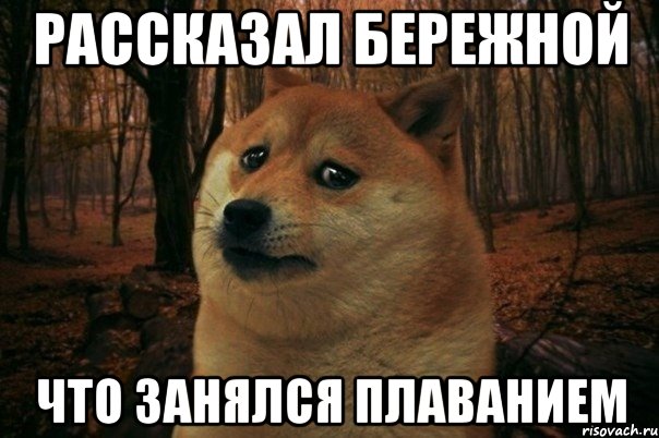 Рассказал Бережной что занялся плаванием, Мем SAD DOGE