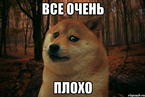 все очень плохо, Мем SAD DOGE