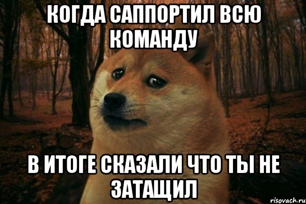 Когда саппортил всю команду В итоге сказали что ты не затащил, Мем SAD DOGE