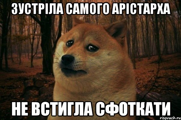 зустріла самого Арістарха не встигла сфоткати, Мем SAD DOGE