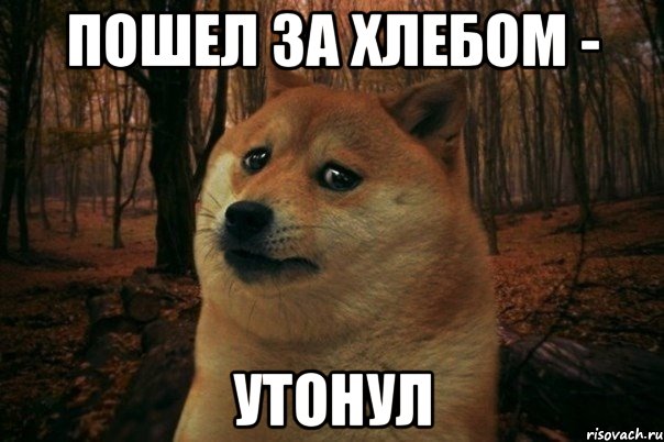 Пошел за хлебом - утонул, Мем SAD DOGE