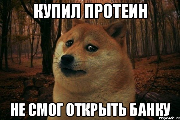 купил протеин не смог открыть банку, Мем SAD DOGE