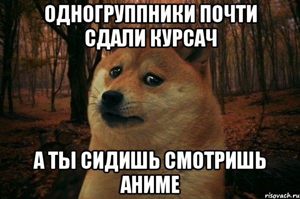 одногруппники почти сдали курсач а ты сидишь смотришь аниме, Мем SAD DOGE