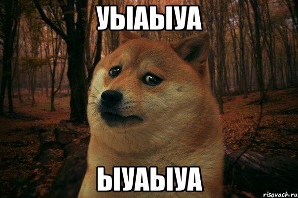 уыаыуа ыуаыуа, Мем SAD DOGE