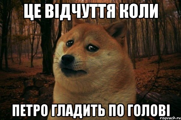 Це відчуття коли Петро гладить по голові, Мем SAD DOGE