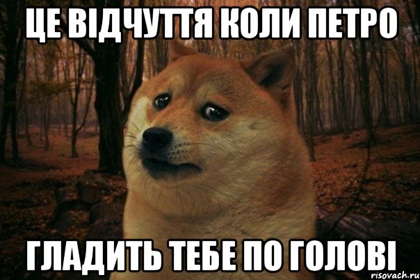 Це відчуття коли Петро гладить тебе по голові, Мем SAD DOGE