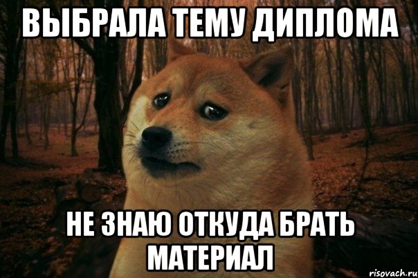 Выбрала тему диплома Не знаю откуда брать материал, Мем SAD DOGE