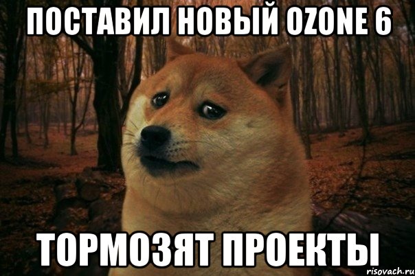 поставил новый Ozone 6 тормозят проекты, Мем SAD DOGE