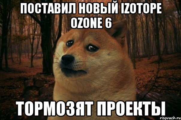 поставил новый izotope ozone 6 тормозят проекты, Мем SAD DOGE