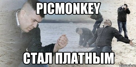 picmonkey стал платным, Мем Мужик сыпет песок на пляже