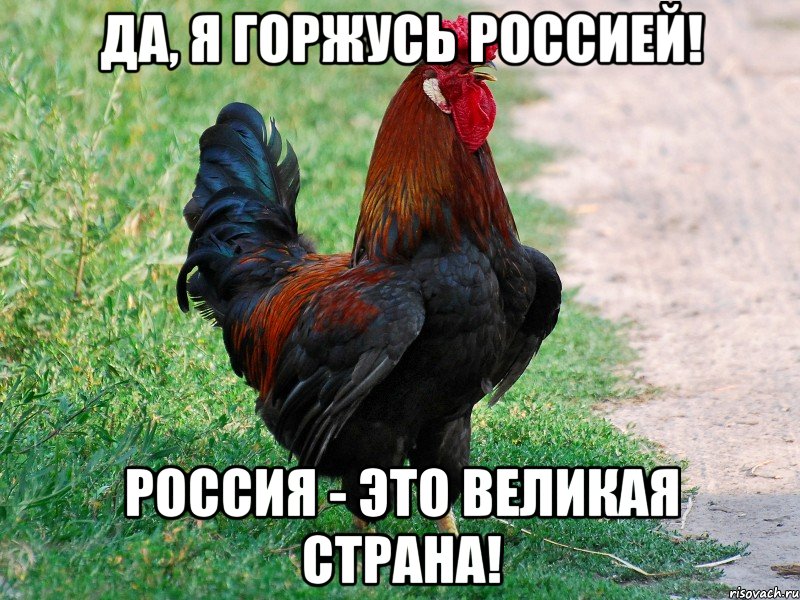 Да, я горжусь Россией! Россия - это великая страна!